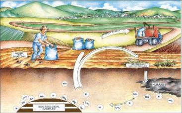 Nutrient removal by harvesting crops (unknown source)